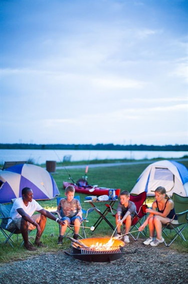 Family camping making s'mores