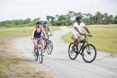 Family on bicycles