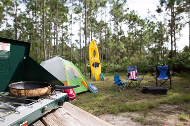 McCarty Ranch Reserve Campsite