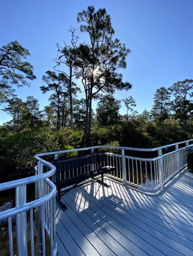 Bench on Boardwalk