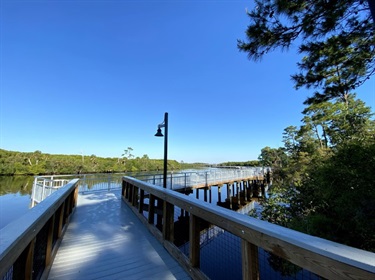 Southern Boardwalk Segment looking south