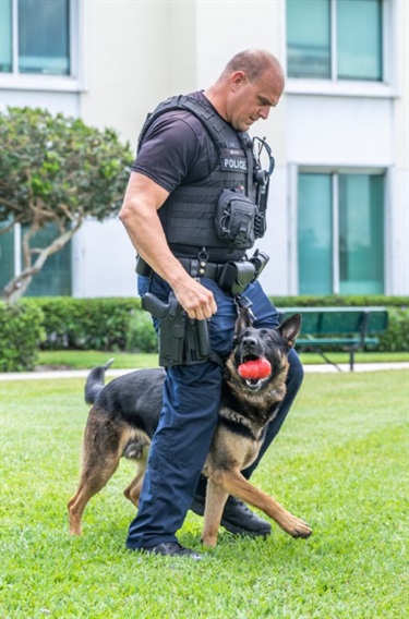 Dog walking between officer's legs