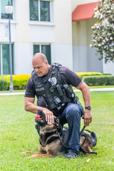 Dog squatting between legs of officer Dog squatting between legs of officer