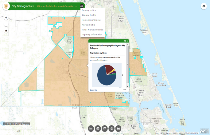 City Demographics