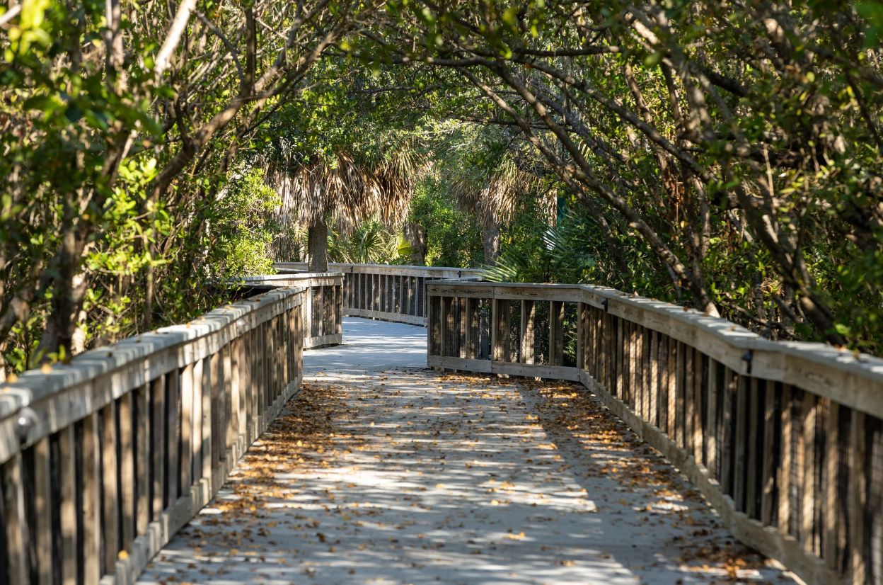 Tom Hooper Park boardwalk