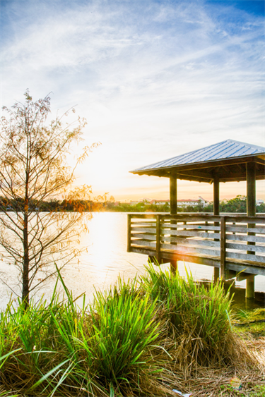 Woodstork Trail Park observation deck