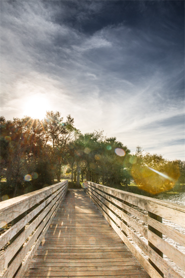 Woodstork Trail Park bridge