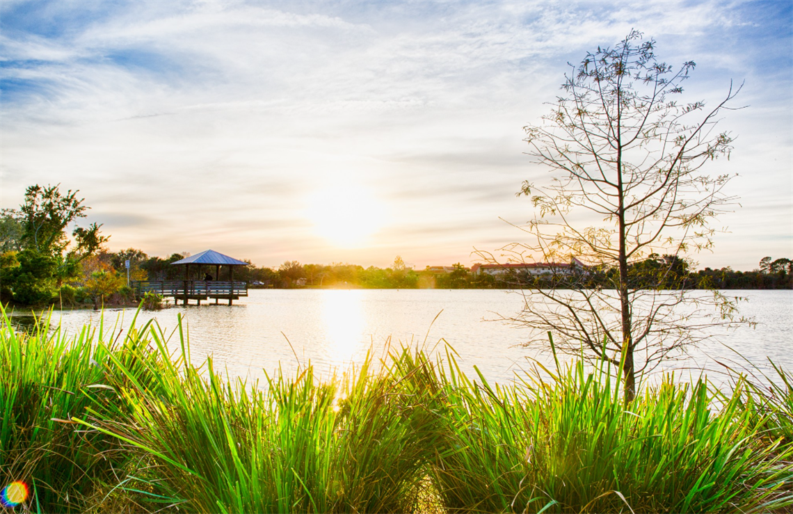 Woodstork Trail Park lake and observation deck