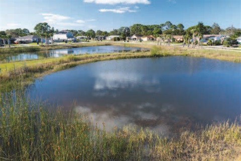 lake pond