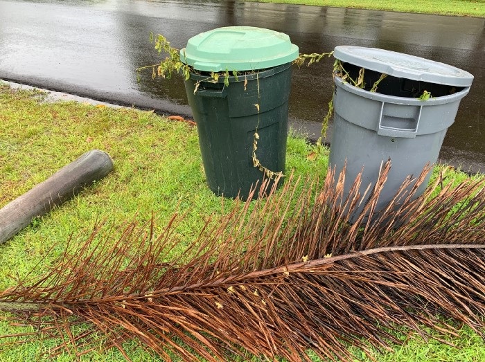 Yard waste piles in compliance