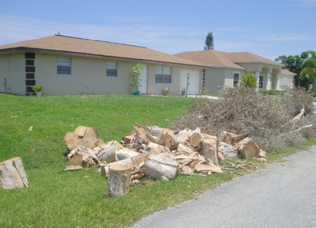 example of yard waste not in compliance