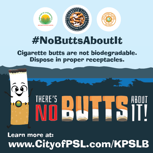 CLPP Social Media messaging No Butts