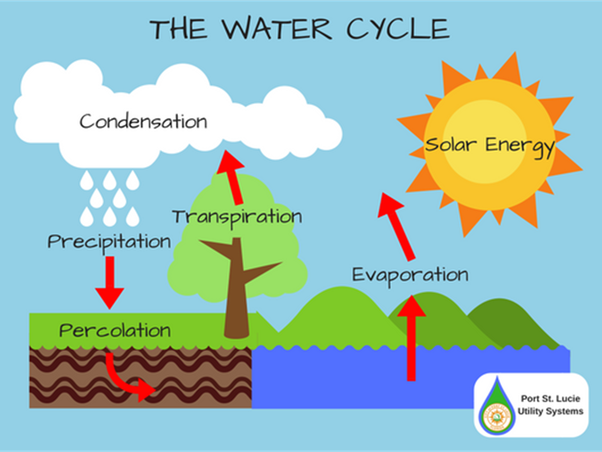 water cycle