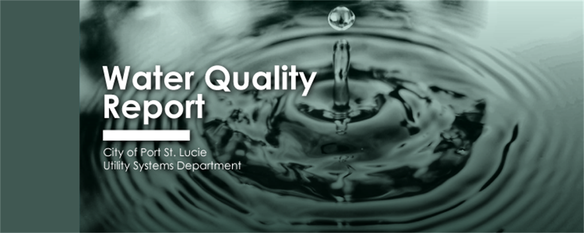 water quality report