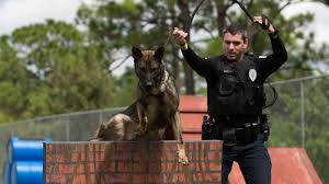 k9 jumping over obstacle with officer