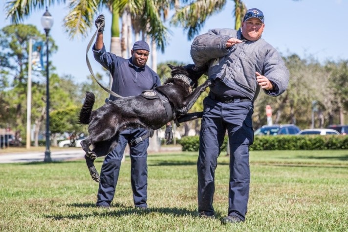 K-9 Officers demonstration